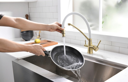 Смеситель для кухни с подключением к фильтру  Paulmark Siеgen Si213111-BrW