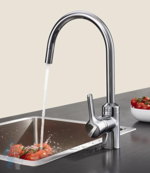 Смеситель для кухни Kludi Bingo Star 428039678