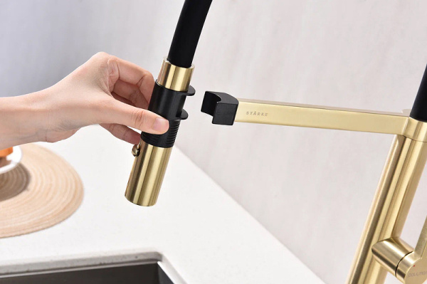 Смеситель для кухни Paulmark Leader Le214101-SBG