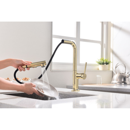 Смеситель для кухни Paulmark Neo Ne214419-G