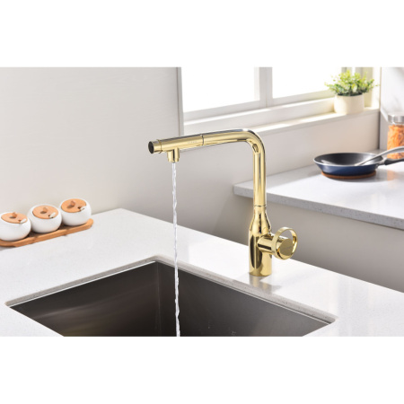 Смеситель для кухни с подключением к фильтру  Paulmark Urban Ur213104-G