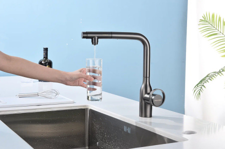 Смеситель для кухни с подключением к фильтру  Paulmark Urban Ur213104-NI