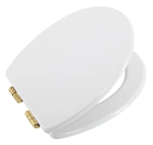 Крышка-сиденье Cezares Primo CZR-T-166M-S-G