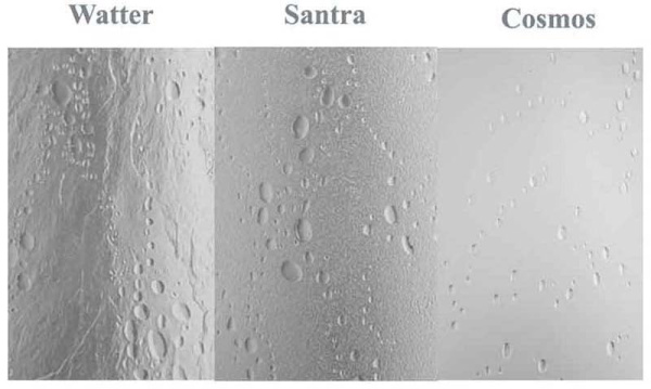 Шторка на ванну BAS ALEGRA (4ств) пластик
