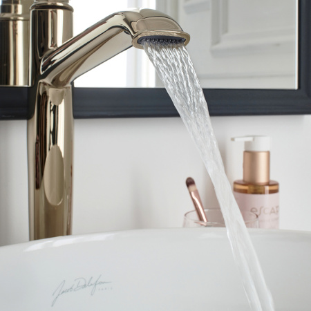 Смеситель для раковины Jacob Delafon Cleo 1889 E24309-BGG