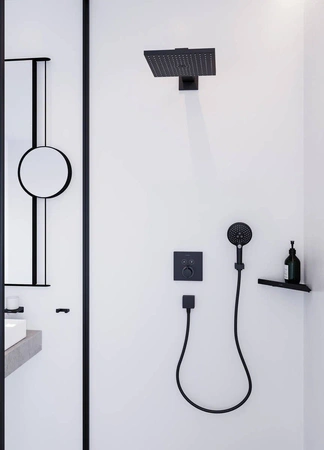 Ручной душ Hansgrohe Raindance Select S 120 3jet 26530340 шлифованный черный хром