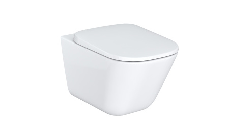 Крышка для чаши Roca The Gap Soft Close, тонкая 801472001