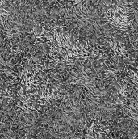 Коврик для ванной комнаты  WasserKRAFT Kammel BM-8342