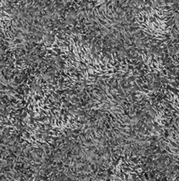 Коврик для ванной комнаты  WasserKRAFT Kammel BM-8312