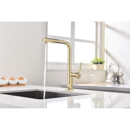 Смеситель для кухни Paulmark Neo Ne214419-G