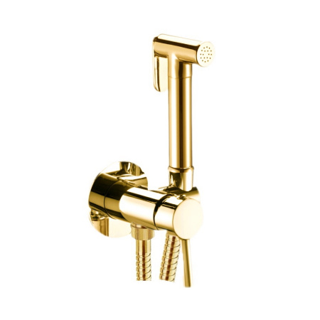 Гигиенический душ со смесителем Webert Sax Evolution SE870303010