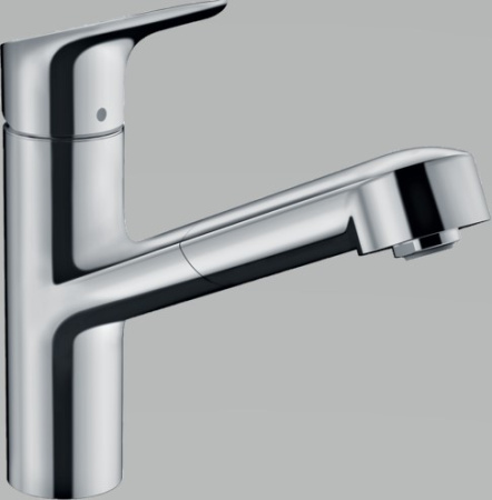 Кухонный смеситель Hansgrohe Focus M43 71842000