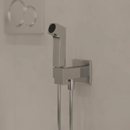 Гигиенический набор Hansgrohe Bidette E 1jet EcoSmart+ 29233000 хром 