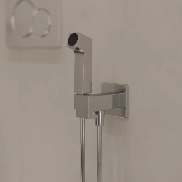 Гигиенический набор Hansgrohe Bidette E 1jet EcoSmart+ 29233000 хром 