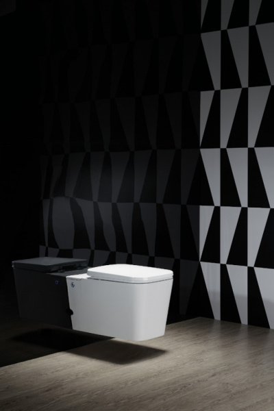 Подвесной безободковый унитаз Cerutti Spa Disgrazia Aria C-370C с импульсным смывом, сиденье Soft Close, белый