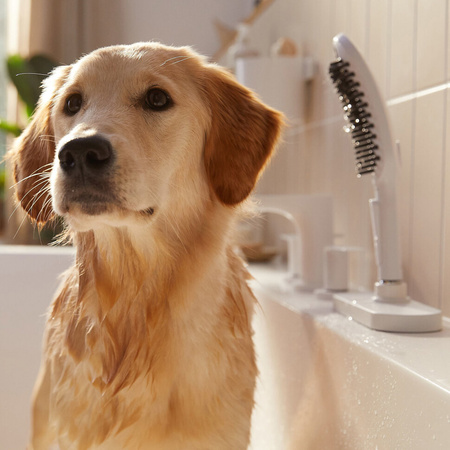 Ручной душ для мытья собак Hansgrohe DogShower 26640700 белый матовый