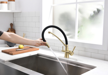 Смеситель для кухни с подключением к фильтру  Paulmark Siеgen Si213111-BR