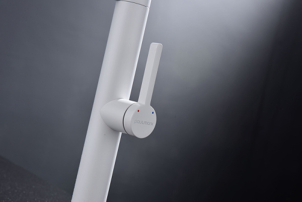 Смеситель для кухни Paulmark Leader Le214101-431