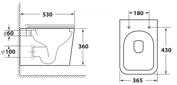 Унитаз подвесной  безободковый OWL Vatter Ruta-H  Matt Black с сиденьем DP микролифт OWLT190404