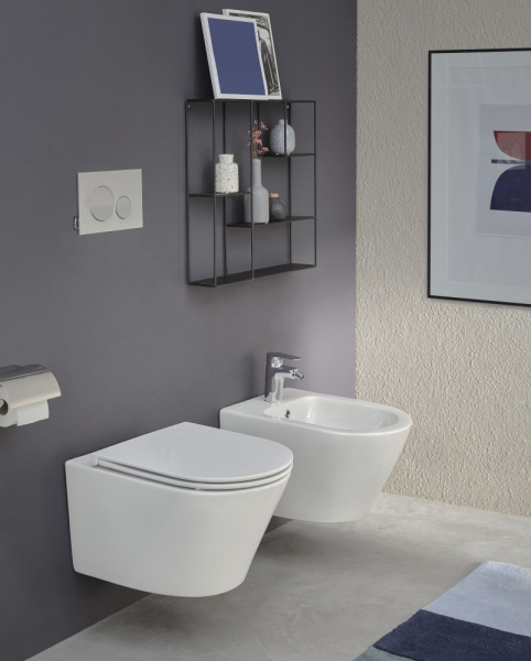 Унитаз подвесной безободковый Jacob Delafon Rodin+ EDY102-00 подвесной без сиденья