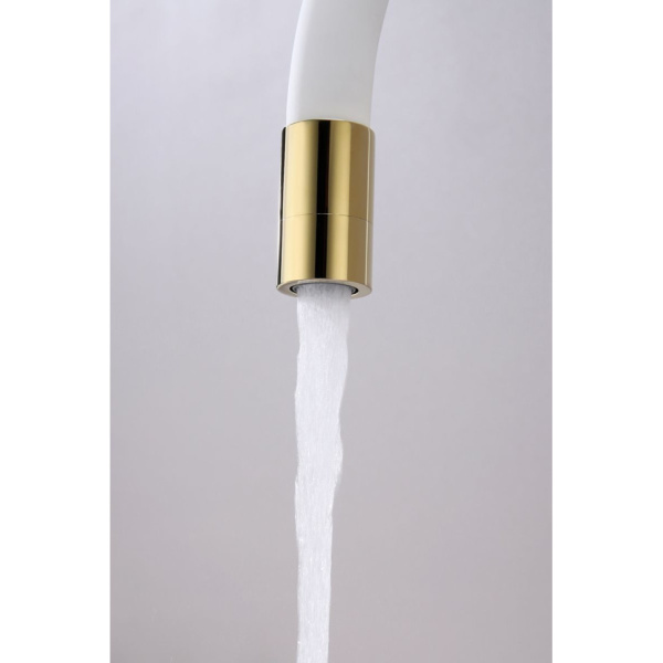 Смеситель для кухни с подключением к фильтру  Paulmark Salix Sa213419-Gw