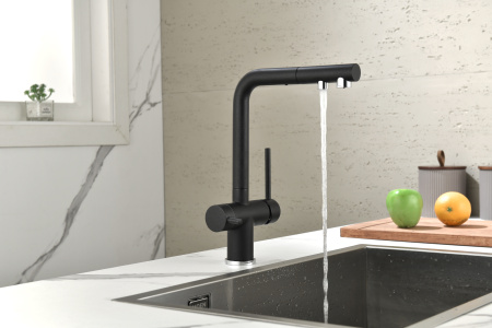 Смеситель для кухни с подключением к фильтру  Paulmark Serpentine Se213222-418