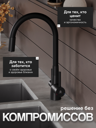 Смеситель для кухни однорычажный с каналом для питьевой воды и гибким изливом Agger Elegant A3230344черный матовый