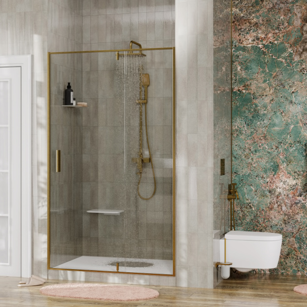 Душевая дверь (100х200) WasserKRAFT Aisch  55P12