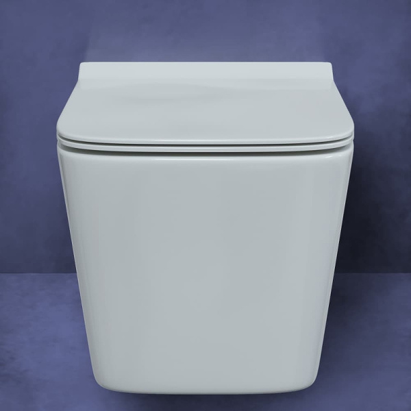 Унитаз Berges Wasserhaus Floe Rimless 082121