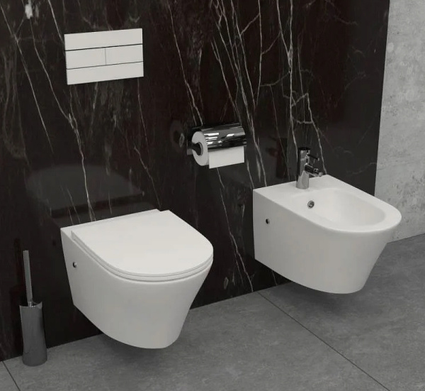 Биде подвесное Jacob Delafon Rodin+ EMJ0002-00