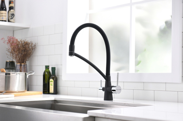 Смеситель для кухни с подключением к фильтру  Paulmark Siеgen Si213111-401