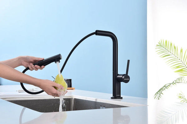 Смеситель для кухни Paulmark Neo Ne214419-401