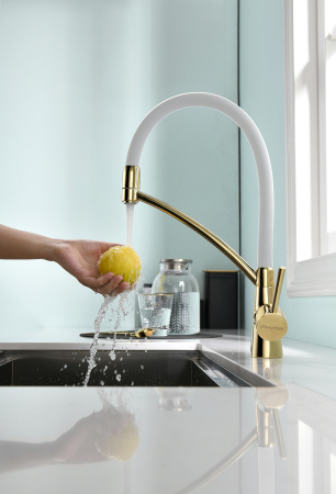 Смеситель для кухни с подключением к фильтру  Paulmark Siеgen Si213111-GW