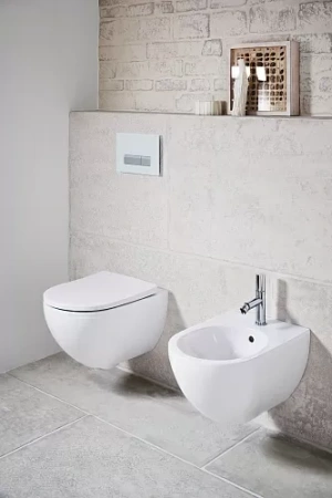 Биде подвесное стандартное GEBERIT Acanto 500.601.01.2 Биде подвесное стандартное GEBERIT Acanto 500.601.01.2