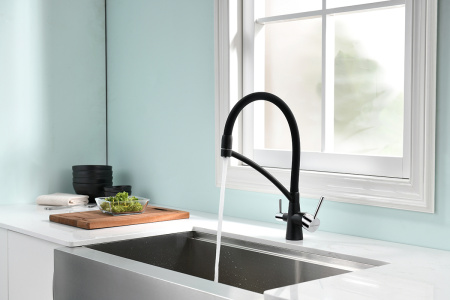 Смеситель для кухни с подключением к фильтру  Paulmark Siеgen Si213111-308