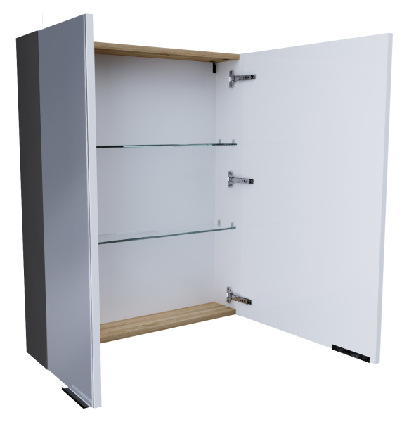 Зеркало-шкаф (60х80) 1Marka Gaula 60 У92541