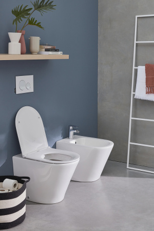 Унитаз приставной Jacob Delafon Rodin+ EDAA102-00