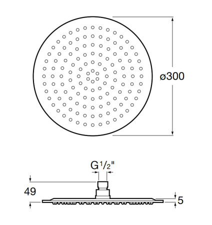 Верхний душ Roca Raindream D300 нержавеющая сталь 5B2550C00