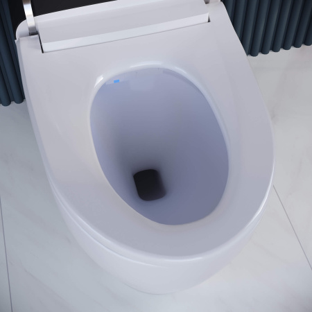 Напольный умный приставной безободковый унитаз RGW SW-30 63420130-01