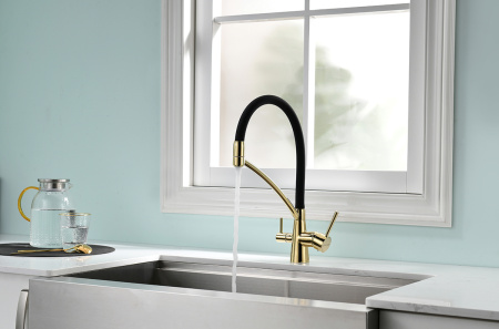 Смеситель для кухни с подключением к фильтру  Paulmark Siеgen Si213111-G