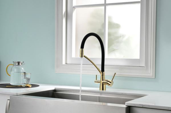 Смеситель для кухни с подключением к фильтру  Paulmark Siеgen Si213111-G