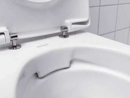 Комплект инсталляция Geberit Delta с подвесным унитазом Renova 500.103.DW.R с сиденьем микролифт и клавишей