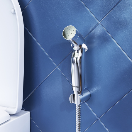 Гигиенический душ с держателем Damixa Shower program 760550100