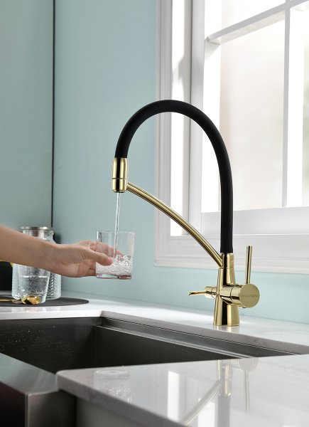 Смеситель для кухни с подключением к фильтру  Paulmark Siеgen Si213111-G