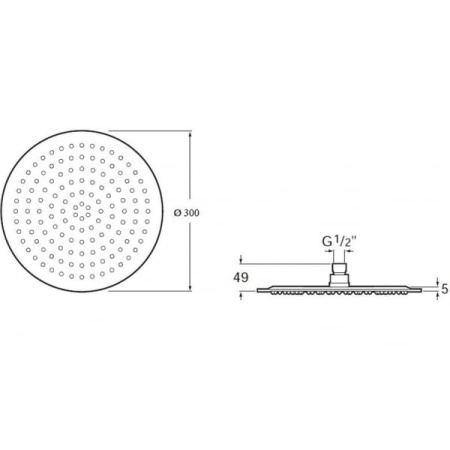 Верхний душ Roca Raindream D300 нержавеющая сталь 5B2550C00