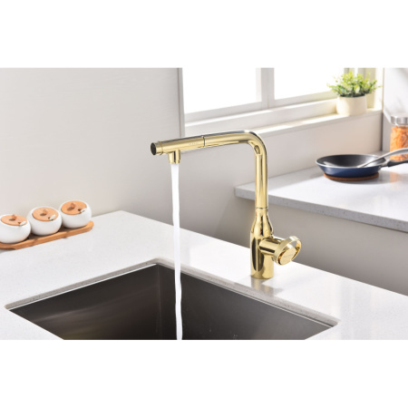 Смеситель для кухни с подключением к фильтру  Paulmark Urban Ur213104-G