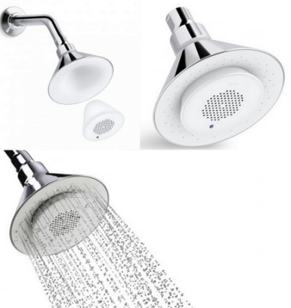 Верхний душ Jacob Delafon Moxie 9245D-CР