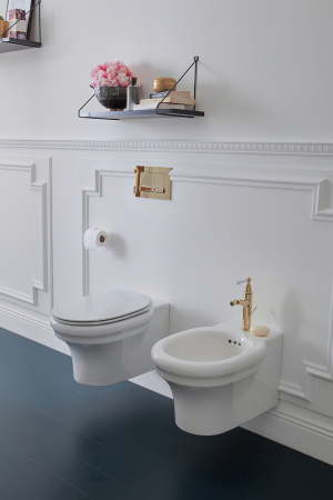 Подвесной безободковый унитаз Jacob Delafon Cleo EDZ102-0 (без сиденья)