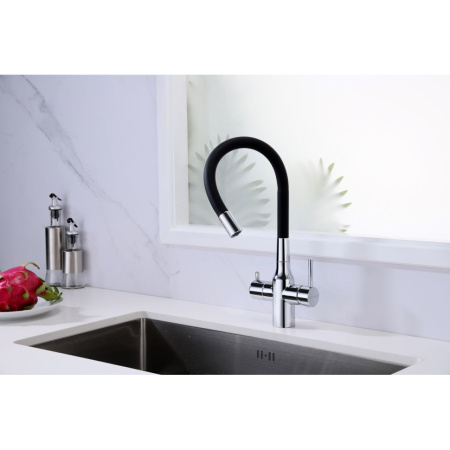 Смеситель для кухни с подключением к фильтру  Paulmark Salix Sa213419-CR