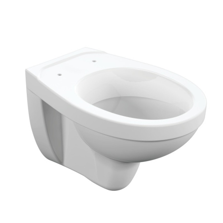 Подвесной унитаз Cersanit DELFI TPL S-MZ-DELFI-PL